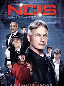 Suivez la série NCIS : Enquêtes spéciales en streaming en VF et en VOSTFR Saison 12 en streaming