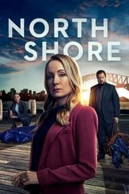 North Shore Saison 1 en streaming