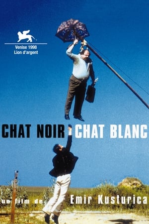 Chat noir, chat blanc